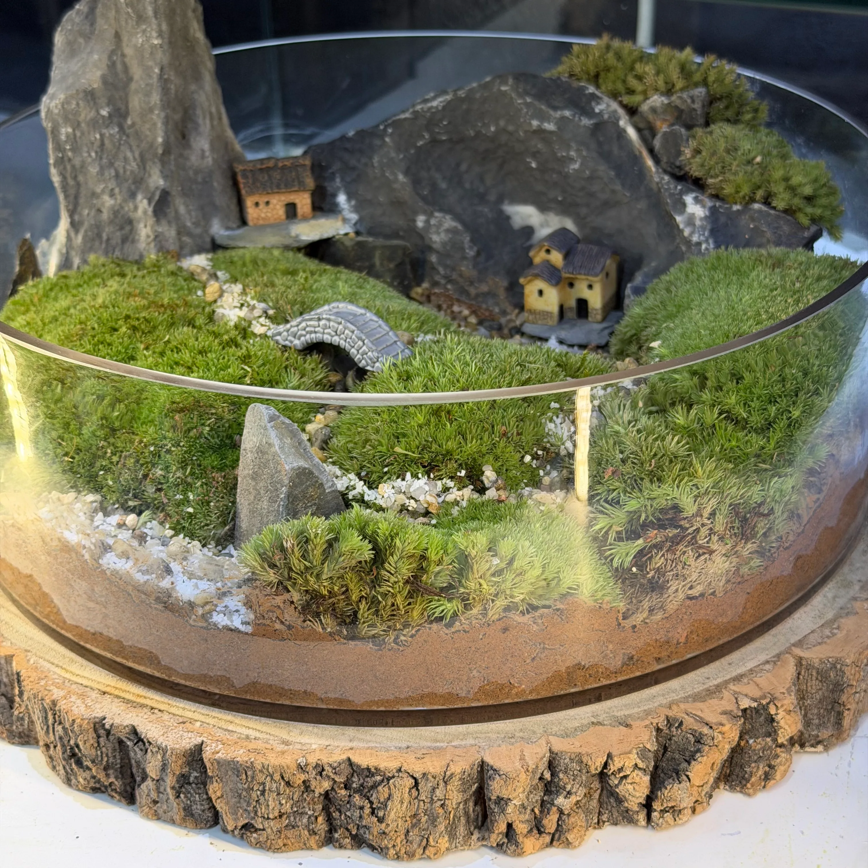 Creation Five